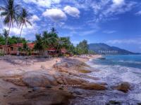 post-118262-0-37443300-1293148679_thumb.