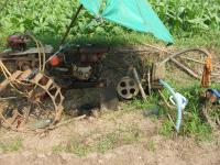 post-118612-0-66508000-1292183932_thumb.