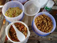 post-11996-0-66241400-1293507352_thumb.j