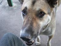 post-15958-0-35632100-1293417845_thumb.j