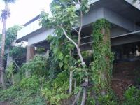 post-32112-0-61519600-1293009223_thumb.j