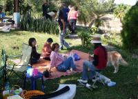 post-72121-0-10579800-1293472866_thumb.j