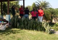 post-72121-0-11771200-1293472699_thumb.j