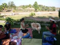 post-72121-0-36099600-1293472680_thumb.j