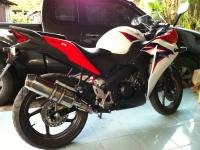 post-77479-0-86032100-1293092697_thumb.j