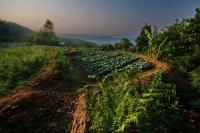 post-104559-0-13270900-1322974403_thumb.