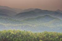 post-104559-0-32288600-1322974122_thumb.