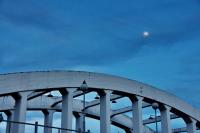 post-104559-0-87990900-1322974501_thumb.