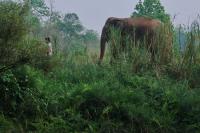 post-104559-0-89178100-1322974366_thumb.