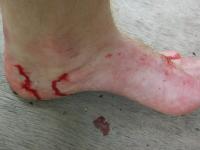 post-139762-0-19283300-1323974488_thumb.