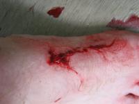 post-139762-0-58618200-1323974477_thumb.