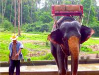 post-140166-0-87539000-1322795399_thumb.