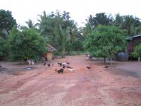 post-19542-0-52419000-1324134647_thumb.j