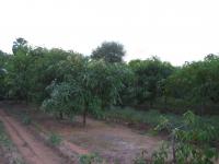 post-19542-0-59733600-1324134974_thumb.j