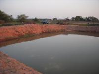 post-19542-0-70608400-1324134197_thumb.j