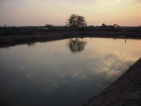 post-19542-0-77272300-1324134324_thumb.j