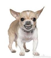 post-37101-0-32766500-1323254647_thumb.j