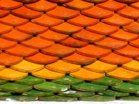 post-44364-0-87986200-1323041282_thumb.j