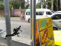 post-52293-0-83100500-1324715130_thumb.j