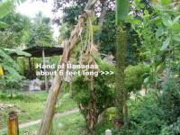 post-85461-0-51028100-1324214033_thumb.j