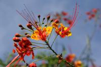 post-85461-0-58836900-1323357967_thumb.j