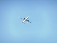 post-104736-0-12241800-1356914554_thumb.