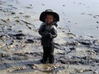 post-104736-0-15989800-1354351868_thumb.