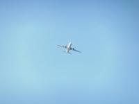 post-104736-0-32988400-1356914551_thumb.