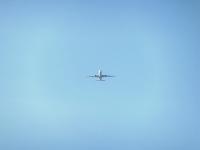 post-104736-0-74392800-1356914548_thumb.