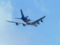 post-104736-0-83399500-1356879374_thumb.