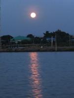 post-104736-0-85016200-1356699364_thumb.