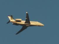 post-104736-0-85974200-1356756585_thumb.