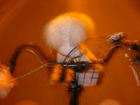 post-113867-0-42010800-1356437034_thumb.