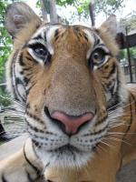 post-132287-0-15835400-1354567688_thumb.