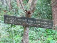 post-132287-0-39483800-1354567450_thumb.