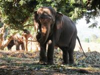 post-132287-0-41027100-1354567609_thumb.