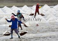 post-168943-0-20666800-1354461186_thumb.