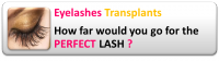 post-170084-0-50269200-1354775261_thumb.