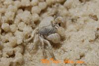 post-170216-0-46237400-1356520862_thumb.