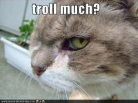 post-27441-0-40200100-1356362148_thumb.j