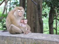 post-35489-0-52946400-1355574289_thumb.j