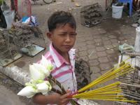 post-70928-0-00793800-1356189094_thumb.j