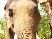 post-70928-0-00814100-1356517247_thumb.j