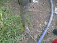 post-70928-0-01895300-1355940199_thumb.j