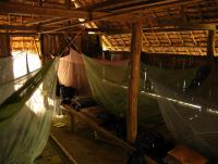 post-70928-0-03072600-1356516583_thumb.j