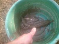 post-70928-0-03413500-1356369021_thumb.j