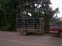 post-70928-0-11085400-1356874698_thumb.j