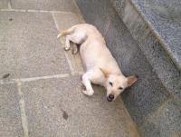 post-70928-0-19812200-1356714293_thumb.j