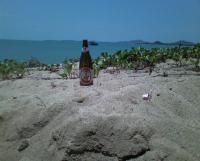 post-70928-0-26658900-1356192502_thumb.j