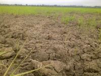 post-70928-0-31498900-1356117992_thumb.j